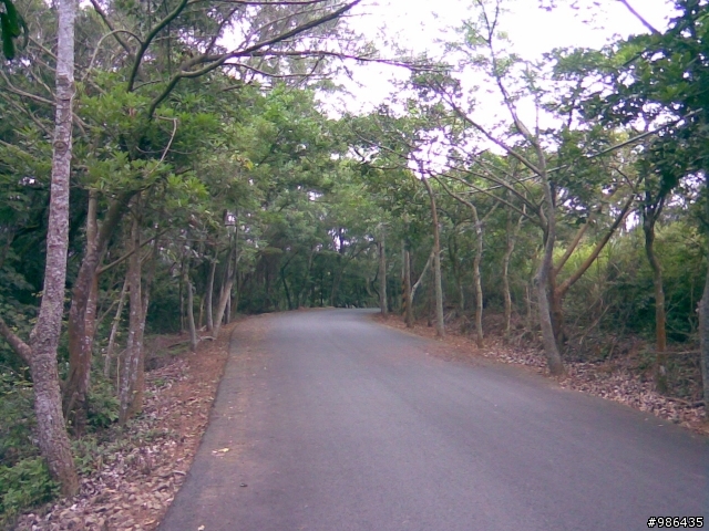 銅鑼自行車道+128線道
