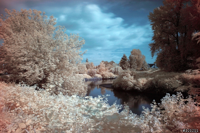誰說Canon不能紅外線攝影，Canon EOS 5D + Hoya R72