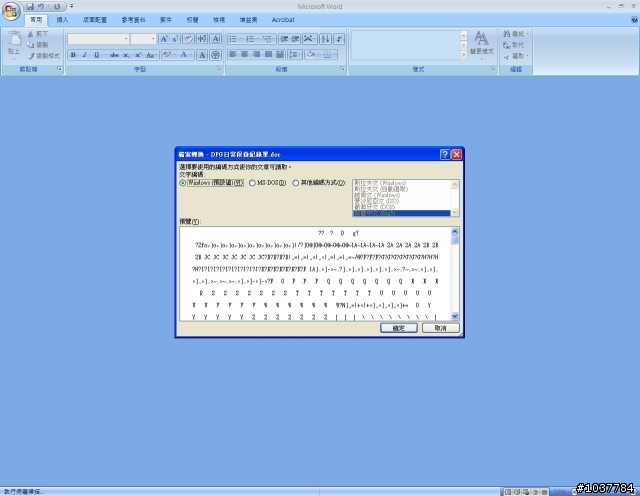 可以幫忙解決一下嗎？office 2003的檔案都打不開