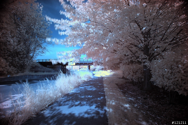 誰說Canon不能紅外線攝影，Canon EOS 5D + Hoya R72