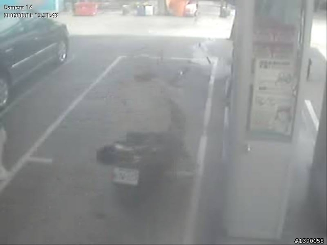 懇請高手幫小女子辨視車牌---尋找愛犬