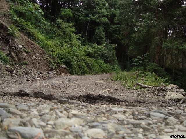 [分享]6/28 小關山林道探路之不負責分享...圖多...
