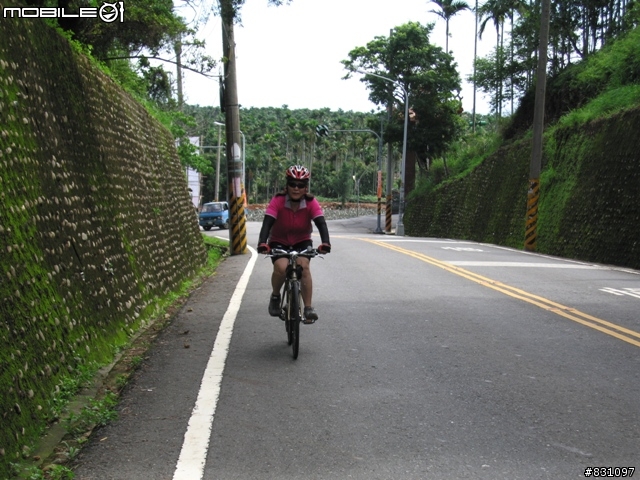 [遊記]20090627八卦山國家風景區139全線、加碼集集綠色隧道－中寮－南投139線(女王篇)