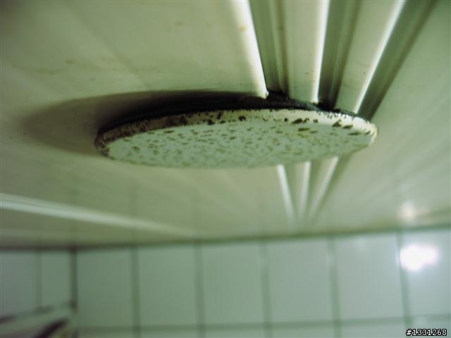 消防撒水頭及偵煙氣的處理
