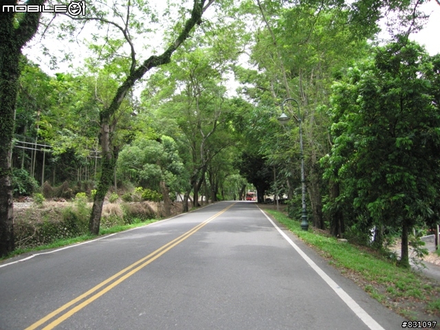 [遊記]20090627八卦山國家風景區139全線、加碼集集綠色隧道－中寮－南投139線(女王篇)