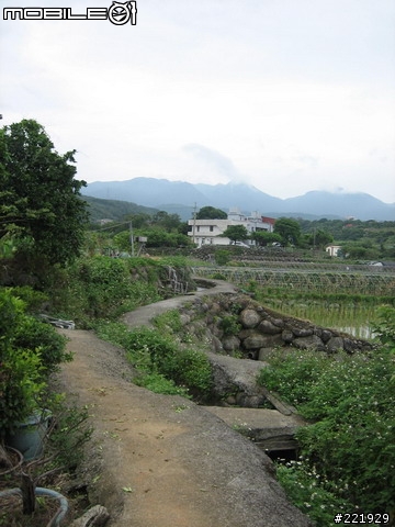 三芝的單車秘密路徑 PART 5 - 田園篇