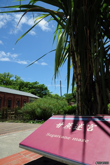 走過百年歷史 - 橋頭糖廠 (兼Nikon D5000貼圖)