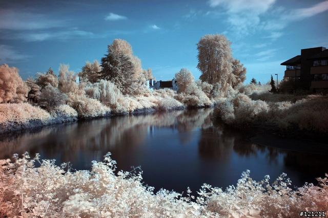 誰說Canon不能紅外線攝影，Canon EOS 5D + Hoya R72