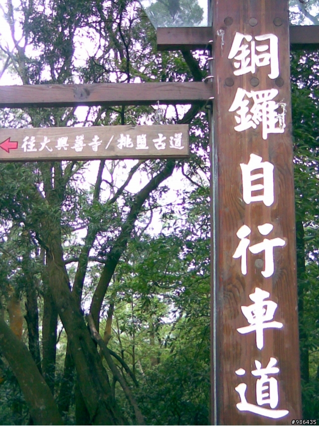 銅鑼自行車道+128線道