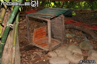 自製原木狗屋第二發