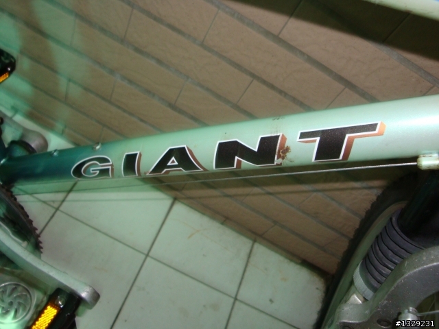 GIANT J490