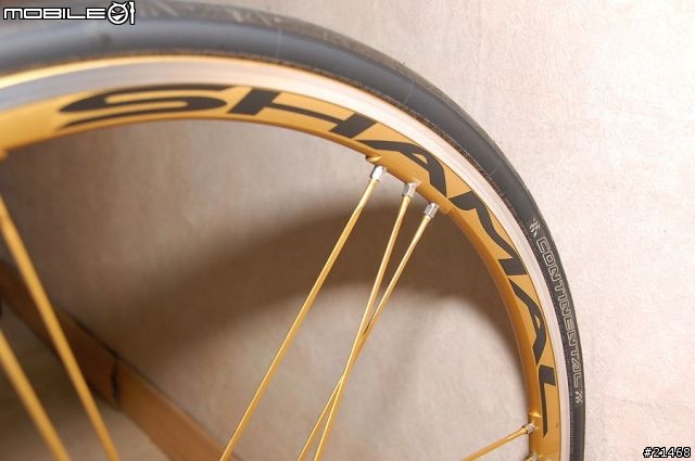 【分享】De Rosa Neo Primato 黑色鋼管車《黑金》