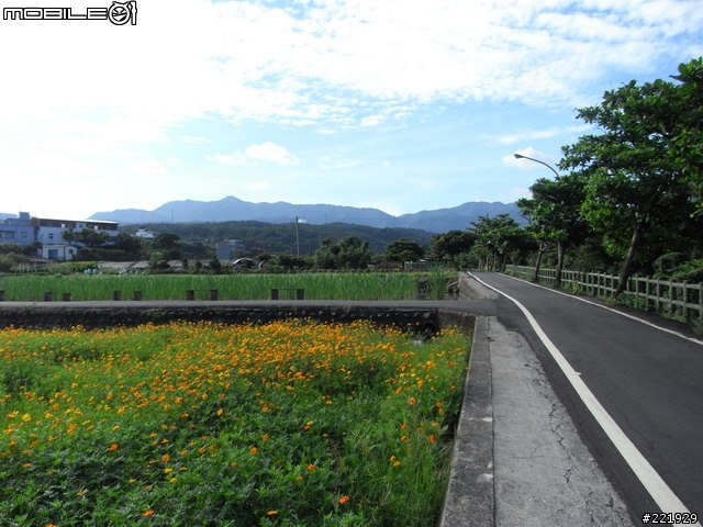 三芝的單車秘密路徑 PART 6 - 產業道路