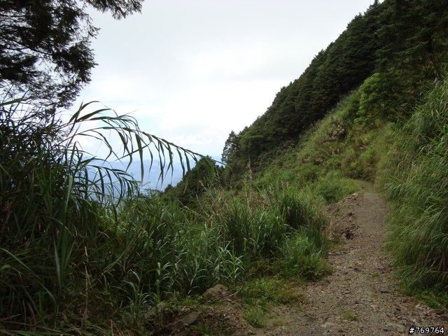 [分享]6/28 小關山林道探路之不負責分享...圖多...