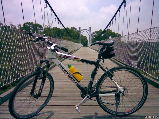 銅鑼自行車道+128線道