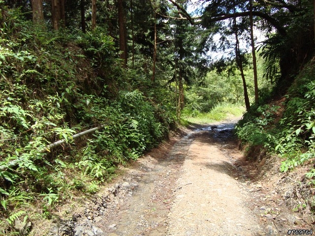 [分享]6/28 小關山林道探路之不負責分享...圖多...