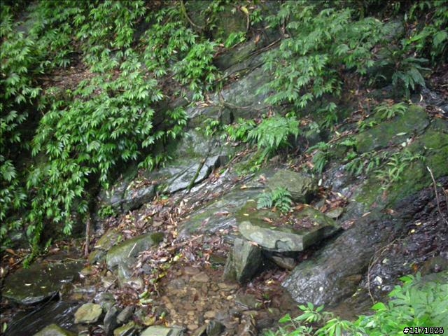 西坑越嶺  (探勘篇)