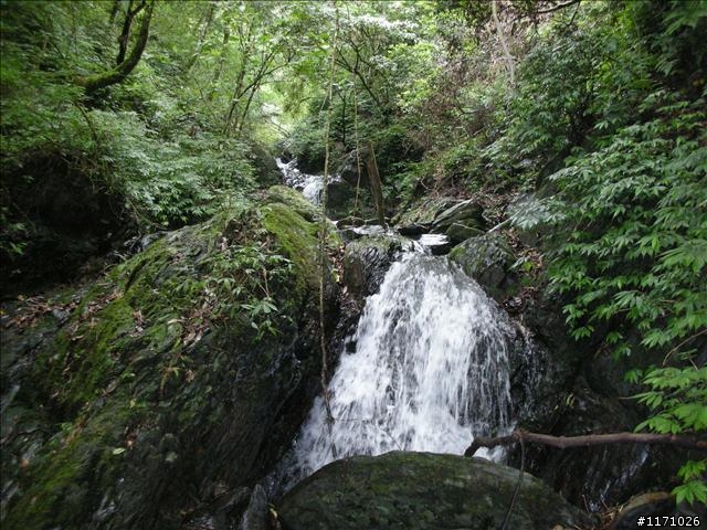 西坑越嶺  (探勘篇)