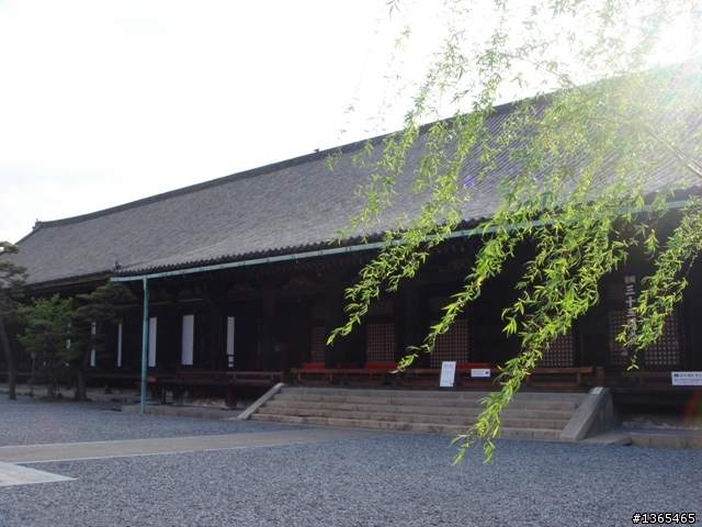 {國外 遊記} 日本賞櫻 第三天 インスタントラーメン発明記念館 + 大阪造幣局 + 京都三十三間堂