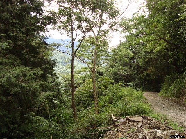 [分享]6/28 小關山林道探路之不負責分享...圖多...