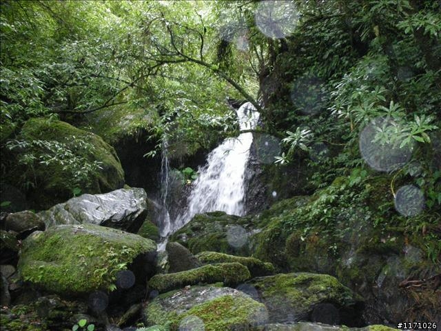 西坑越嶺  (探勘篇)