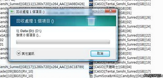 請教vista兩個問題,謝謝(資源回收和排序)