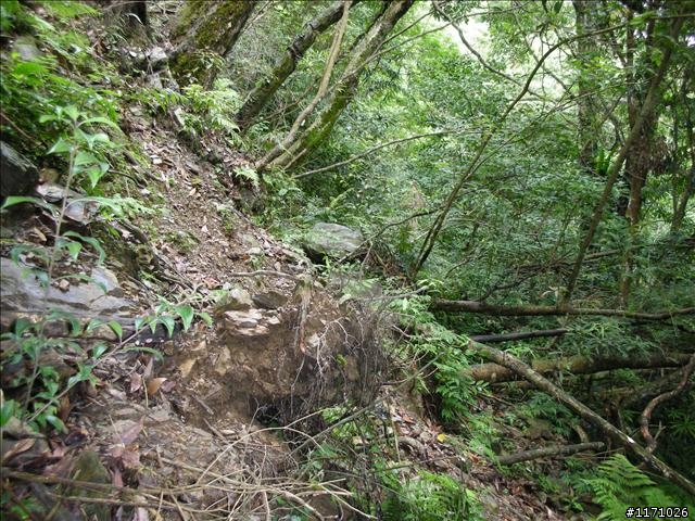 西坑越嶺  (探勘篇)