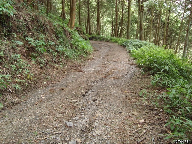 [分享]6/28 小關山林道探路之不負責分享...圖多...