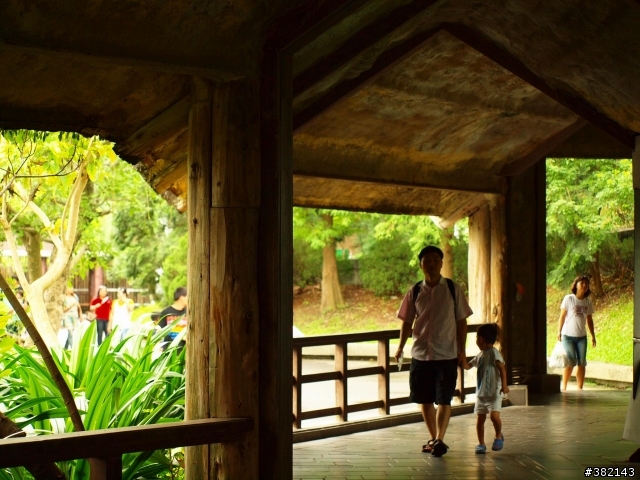 Taipei Zoo 動物園 隨手拍 請進蓋大樓