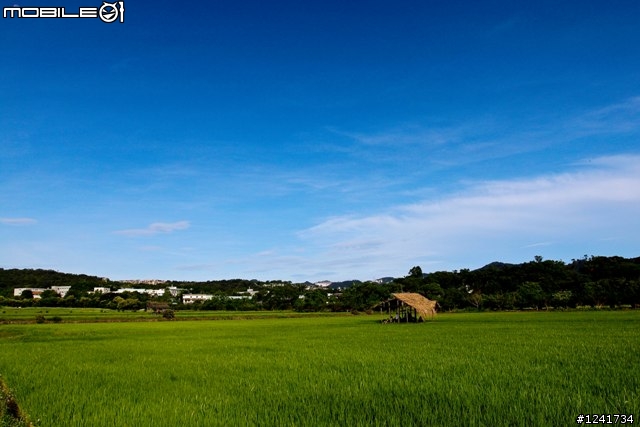 當500D 遇上 17-40mm f4 L USM