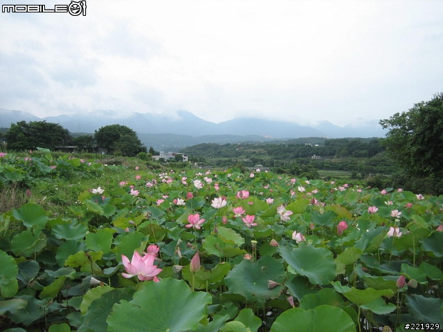 三芝的單車秘密路徑 PART 5 - 田園篇