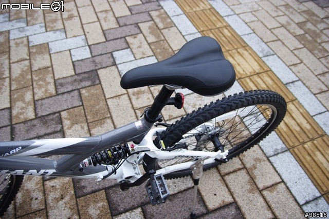 [購入分享]Giant 2009 WARP 日本仕樣車