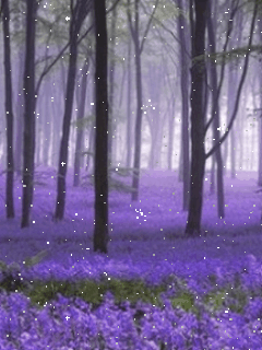 [240x320][176x220] 含其他格式 動態桌布主題 