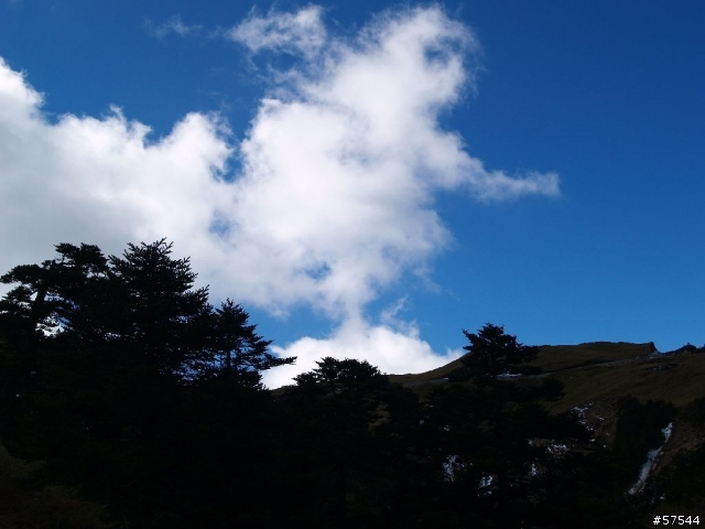 老姐的E-500   合歡山