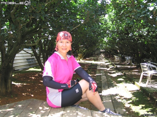 [遊記]20090627八卦山國家風景區139全線、加碼集集綠色隧道－中寮－南投139線(女王篇)