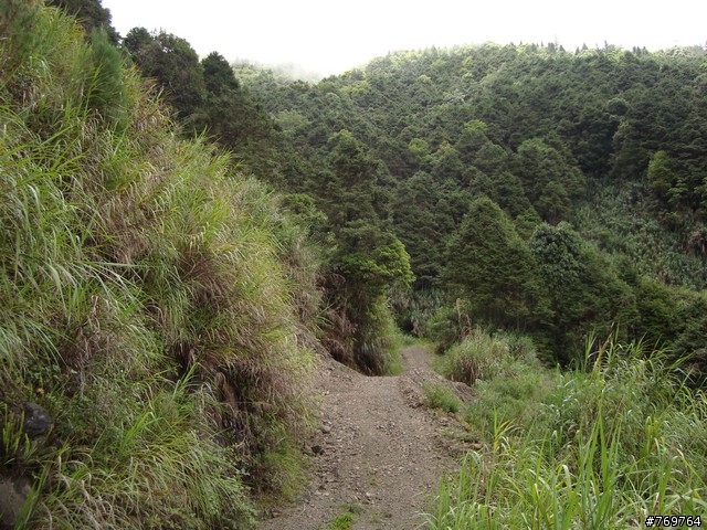 [分享]6/28 小關山林道探路之不負責分享...圖多...