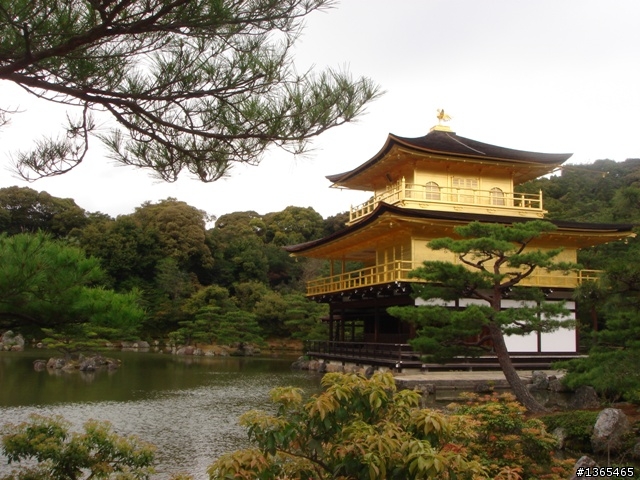 {國外 遊記} 日本賞櫻 第四天 銀閣寺 + 金閣寺 + 箱根強羅公園