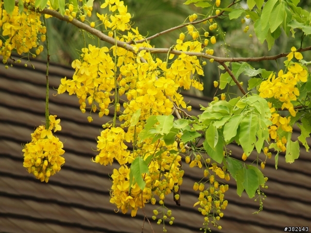 Taipei Zoo 動物園 隨手拍 請進蓋大樓