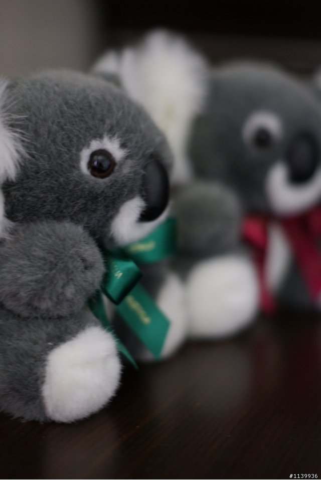 (增購a330鏡頭)SONY DT 50mm F1.8