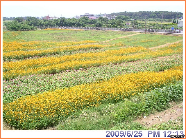 [臨時騎意]...環島補考200K....圖多見諒