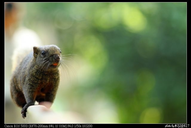 小小白is 簡易試用分享