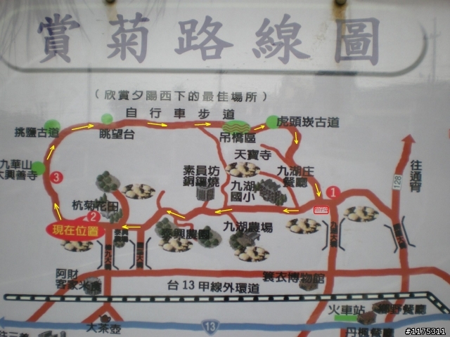 [遊記]自行車道賞銅花分享