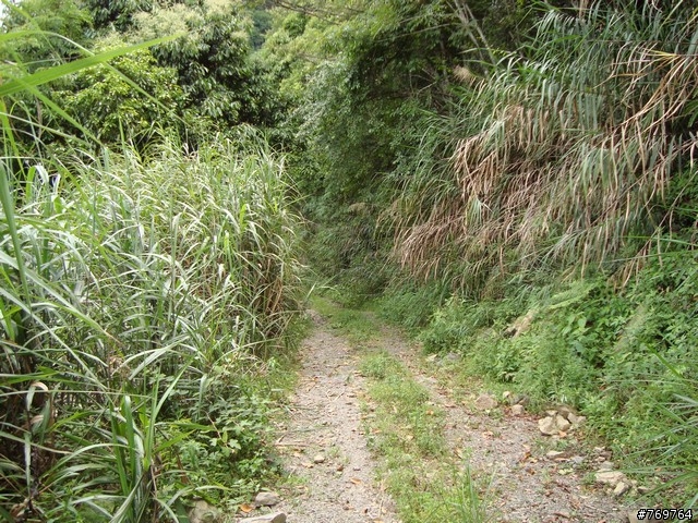 [分享]6/28 小關山林道探路之不負責分享...圖多...