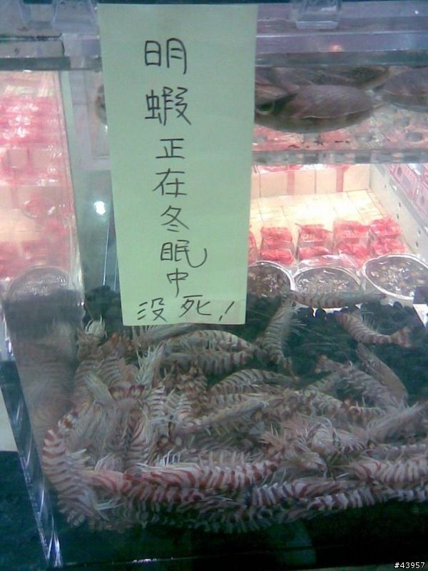 【分享】笑死人的廣告標語