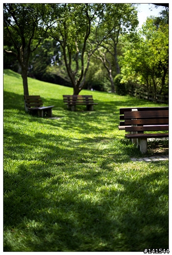 [分享]  Nikon 50mm F1.4 的淺景深