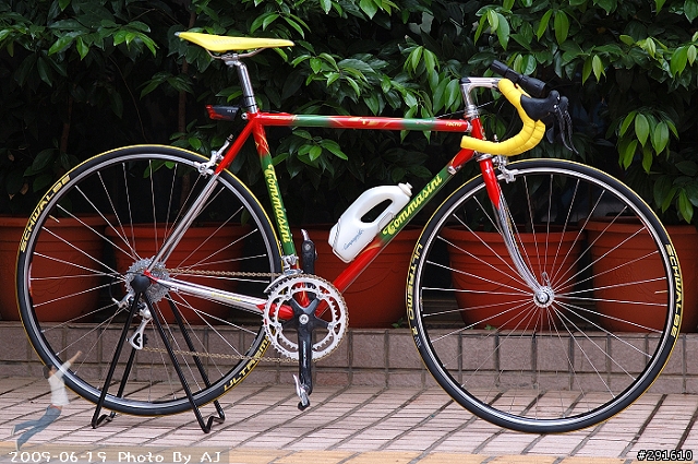 (下坡王)骨頭的鋼管車開箱照...photo by AJ