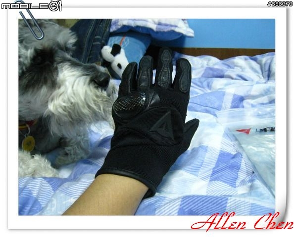 [開箱]低調的狐狸頭-DAINESE MOTODON LADY 女款防摔短手套