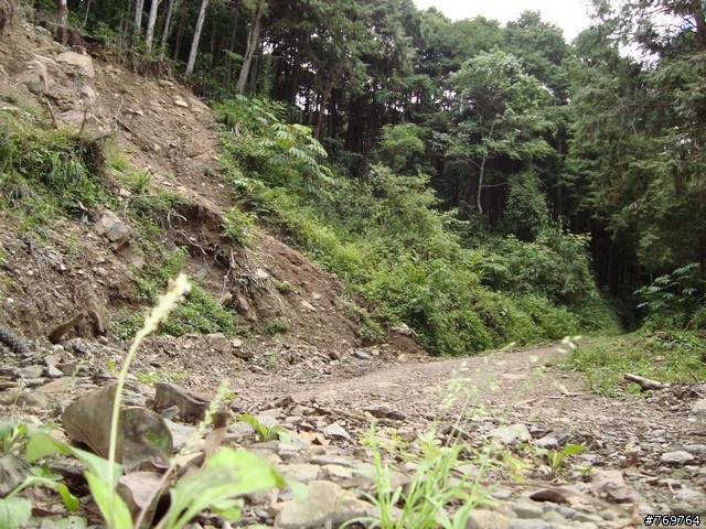 [分享]6/28 小關山林道探路之不負責分享...圖多...