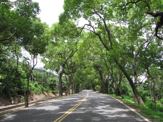 [遊記]20090627八卦山國家風景區139全線、加碼集集綠色隧道－中寮－南投139線(女王篇)