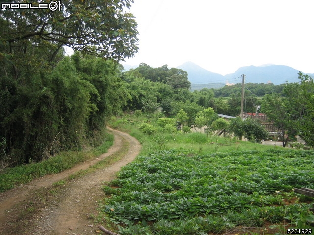 三芝的單車秘密路徑 PART 5 - 田園篇